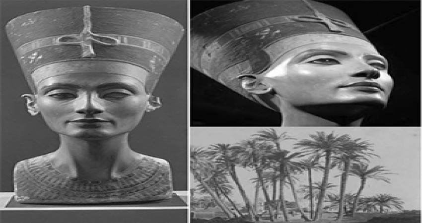 shams egypt tours