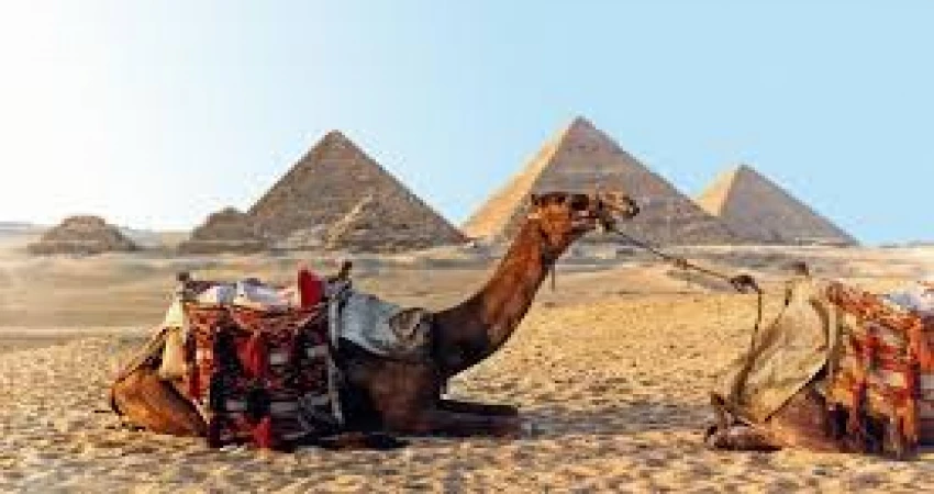 shams egypt tours